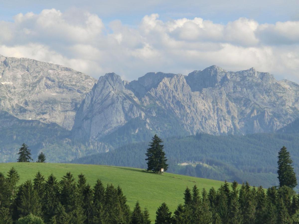 Log Cabin In Bavaria With Covered Terrace Βίλα Steingaden Εξωτερικό φωτογραφία